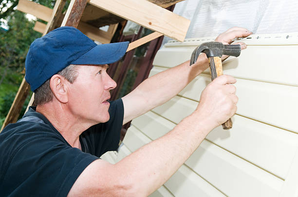 Best Hoarding Cleanup  in Wardsville, MO