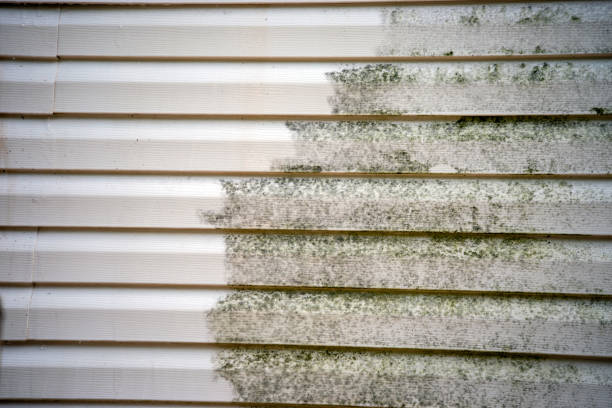 Best Shed Removal  in Wardsville, MO