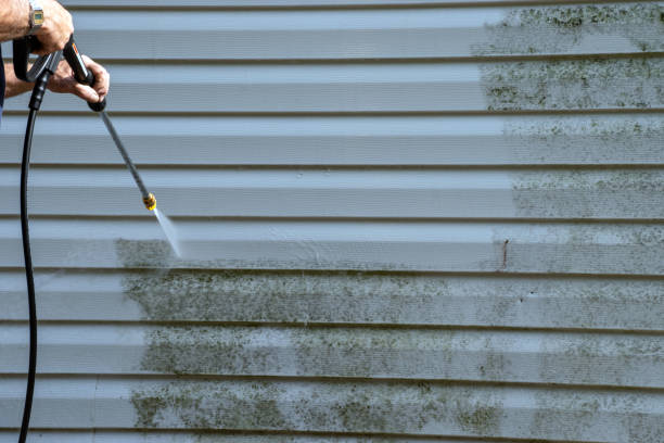 Professional Junk Removal in Wardsville, MO