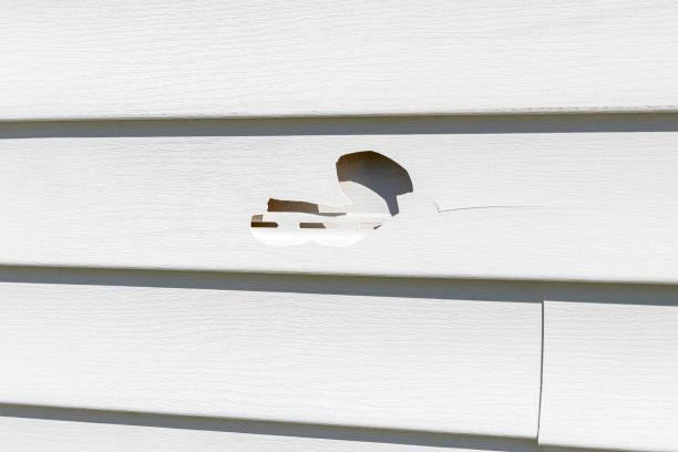 Best Garage Cleanout  in Wardsville, MO